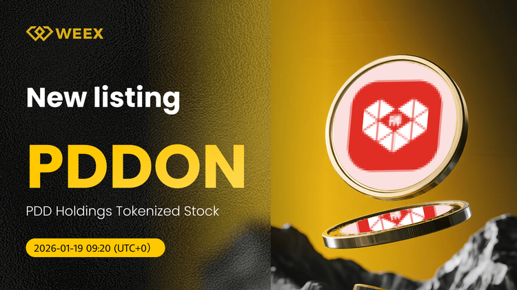 PDDON USDT Now Live: PDD Holdings Tokenized Stock on WEEX Spot